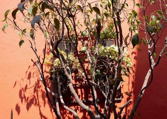 Nido Coyoacán Сasa de vacaciones