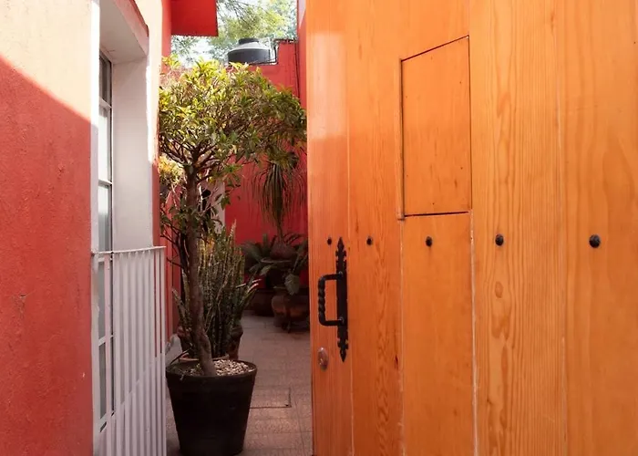 Nido Coyoacán