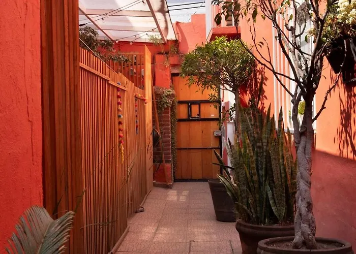 Nido Coyoacán Сasa de vacaciones